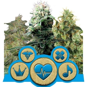 Royal Queen Seeds - Medical Mix - 5 Fem