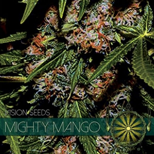 Vision Seeds - Mighty Mango Bud 10 fem