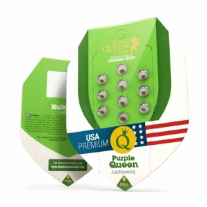 Royal Queen Seeds - Purple Queen Auto (USA) - 1 Auto