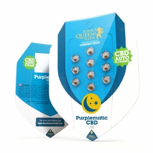 Royal Queen Seeds - Purplematic CBD - 1 auto