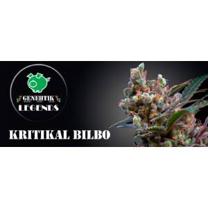 Genehtik - Kritical Bilbo - 25 Fem