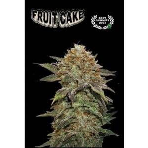 Seedstockers - Superior Fruit Cake - 5 fem
