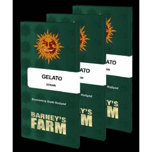 Barney s Farm - Gelato - 1 fem