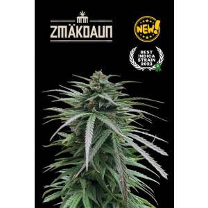 Seedstockers - Superior Zmäkdaun (Outdoor) - 5 fem
