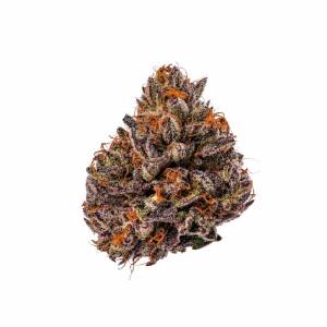 Growers Choice - Tropicana Cherry Triploid F1 - 3 fem