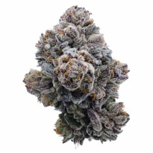 Growers Choice - Pink GlitterBomb - 100 fem