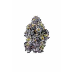 Growers Choice - Sticky Wasabi Triploid F1 - 100 fem