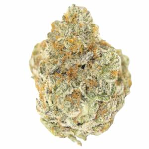 Growers Choice - Permanent WhiteMarker - 100 fem