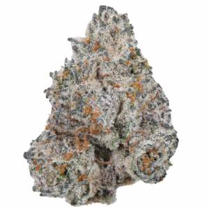 Growers Choice - White Truffle Limited Edition - 100 fem