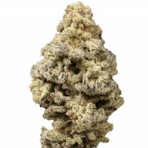 Growers Choice - Mac n Cheese Limited Edition - 100 fem