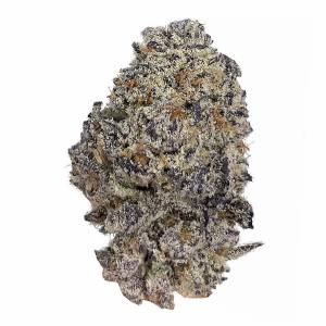 Growers Choice - Original Oreoz - 100 fem