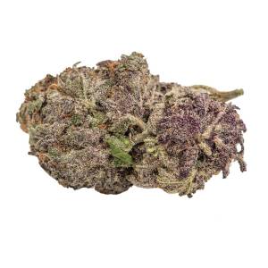 Growers Choice - Ultra Violet GMO - 100 fem