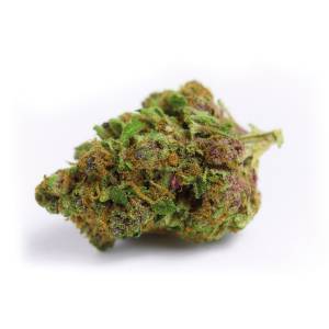 Growers Choice - Red Banana Berry - 100 fem