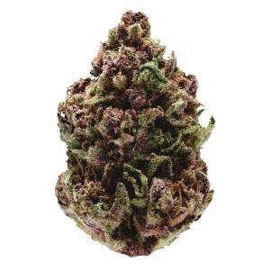 Growers Choice - Pink Magic Fast Version - 100 fem