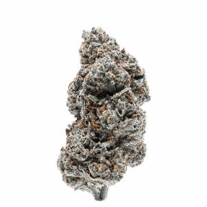 Growers Choice - Tangerine Sherbet - 100 fem