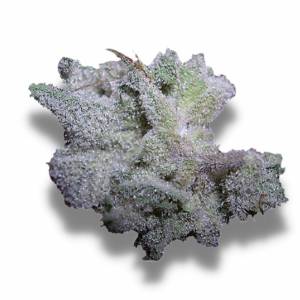 Growers Choice - Brain Damage - 100 fem