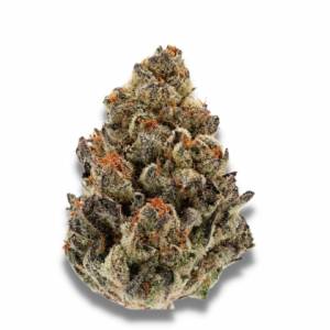 Growers Choice - Bruce Banner III - 100 fem