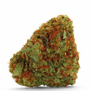 Growers Choice - Bubblegum x Fat HOG - 100 fem