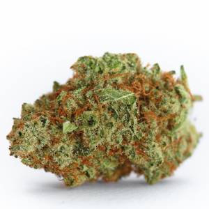Growers Choice - Monsterbud - 100 fem