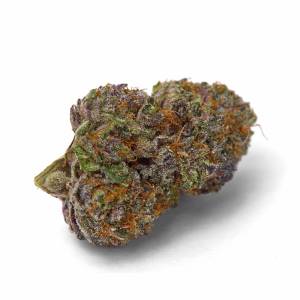 Growers Choice - Purple Dosi Punch - 100 fem