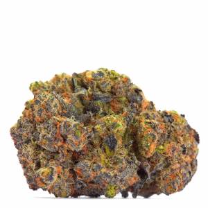 Growers Choice - San Fernando Valley x The Purps - 100 fem