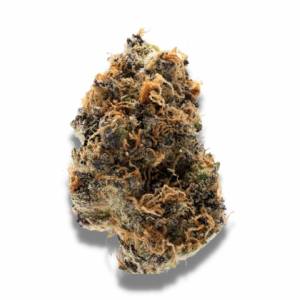Growers Choice - Watermelon Punch - 100 fem