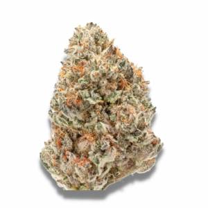 Growers Choice - Watermelon Weddingcake - 100 fem