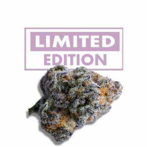 Growers Choice - Platinum Mimosa Cookies Double XL Autoflower - 100 auto