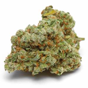 Growers Choice - Banana Sherbet Double XL - 100 auto