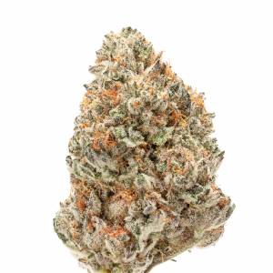 Growers Choice - Watermelon Weddingcake Double XL - 100 auto