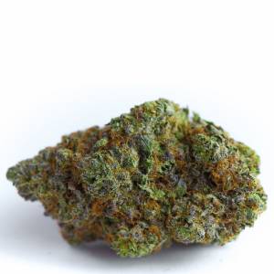 Growers Choice - Blue Forest Berry Autoflower - 100 auto