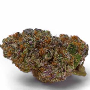 Growers Choice - Blue Dream Sherbet - 100 fem
