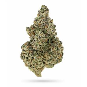 Growers Choice - Crazy Roses Fast Version - 100 fem