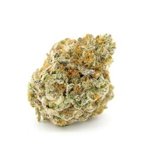 Growers Choice - Forbidden Runtz - 100 fem