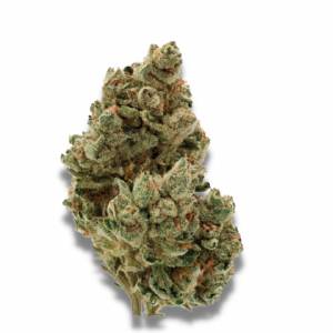Growers Choice - Frosty Gelato - 100 fem