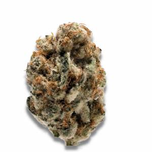 Growers Choice - KO Kush - 100 fem
