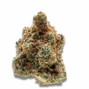 Growers Choice - Monkey Glue - 100 fem