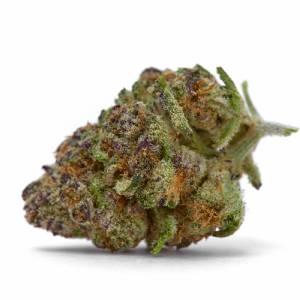 Growers Choice - Purple Sunset - 100 fem