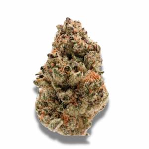 Growers Choice - Rainbow Candy - 100 fem