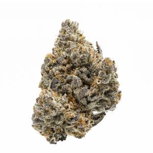 Growers Choice - Rainbow Runtz - 100 fem