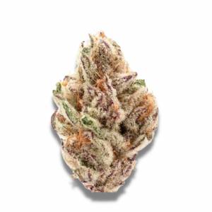 Growers Choice - Sour Zkittlez - 100 fem