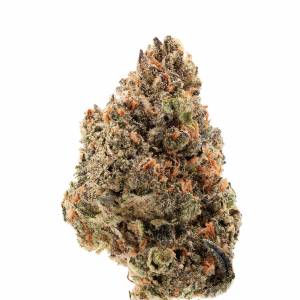 Growers Choice - Tangie Punch - 1 fem