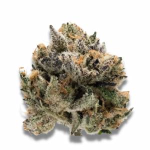 Growers Choice - Tropical Cookies - 100 fem