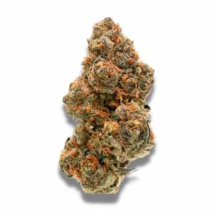 Growers Choice - Weddingcake x Frosty Gelato - 100 fem