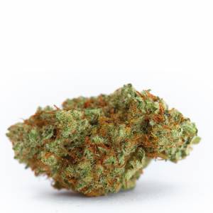 Growers Choice - White Fire Gelato - 100 fem