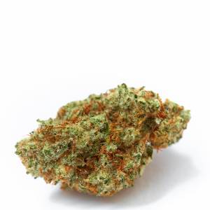 Growers Choice - White Fire OG - 100 fem