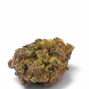 Growers Choice - Wifi Punch - 100 fem