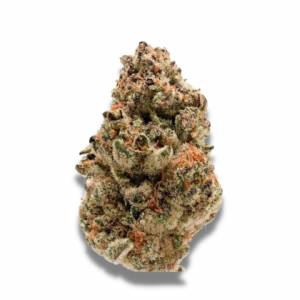 Growers Choice - Zkittlez - 100 fem