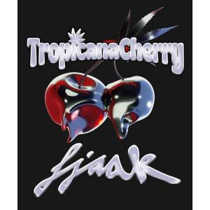 Barney s Farm - Tropicana Cherry - 5 fem
